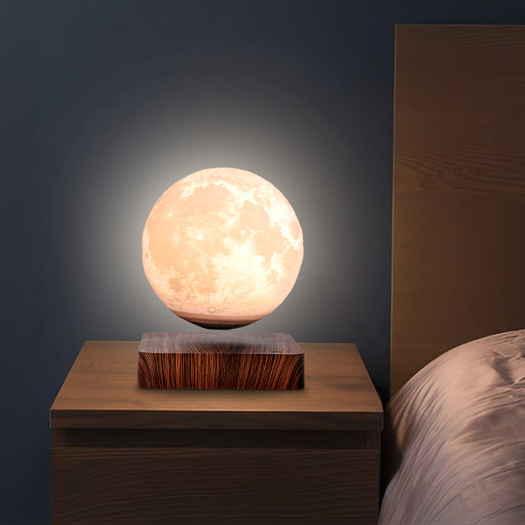 Latitude Run® Mancebo 3D Magnetic Levitation Globe Moon Night